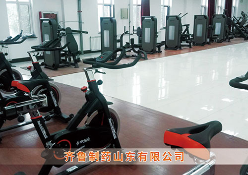 ​锐强体育为齐鲁制药呼和浩特分世界杯体育-世界杯| 世界杯官方网站打造健身房